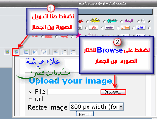 فقط على منتديات قفين:تعلم كيفية وضع الصور في المنتدى 1111