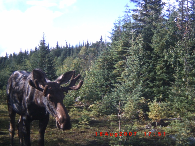 Photos de notre territoire Icam0012