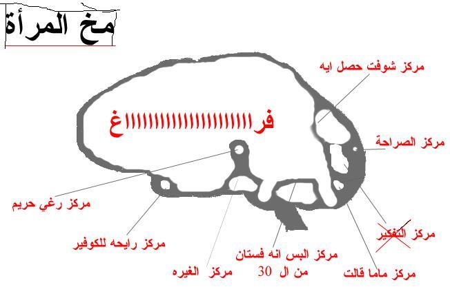 شوف الفرق بين مخ المرأة ومخ الرجل   جامد جدا مع الصور 13150_10