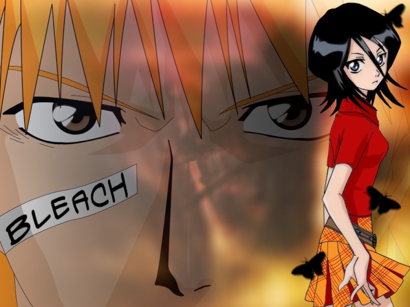     Bleach13