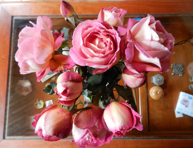 De bien belles roses .... 2012-119
