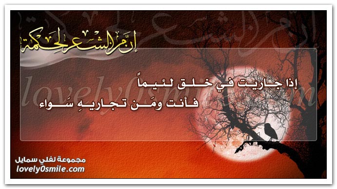 إن من الشعر لحكمة (2 ) Sh3r-031