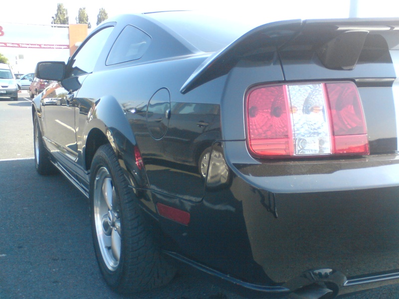 Ford Mustang - Page 6 Dsc00015