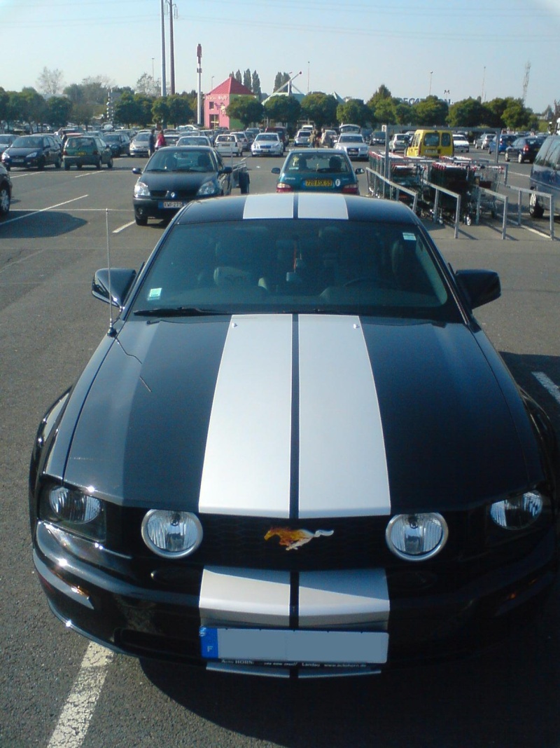 Ford Mustang - Page 6 Dsc00018