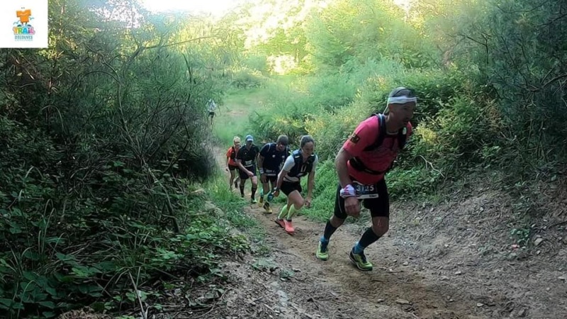 35 Km trail d'Ecouves le 12/06/2022 28822811