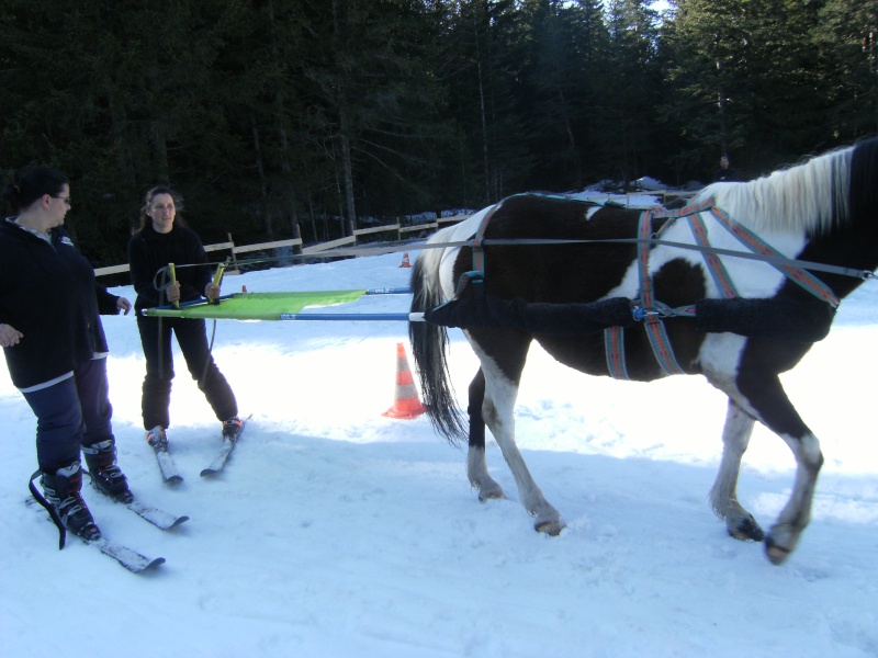 quelqu'un a deja fabriqué un harnais de ski joering ?  Ski_jo11