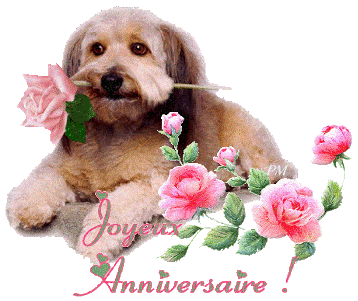 Joyeux Anniversaire Zara Anniversaire Des Membres D Univers Bichons Nimo