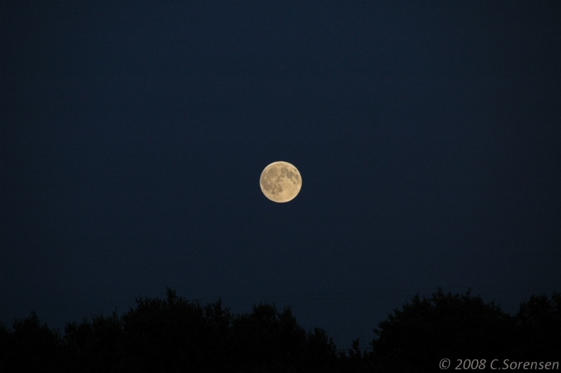 Pleine lune sur la forêt ... Dsc_0311