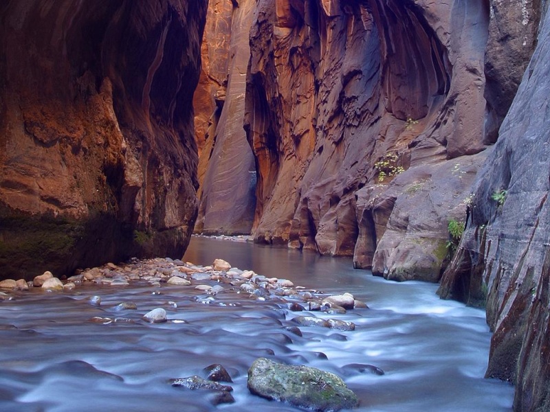 Zion Park Zion_113