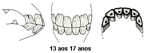 Avaliao da idade aproximada Dente115