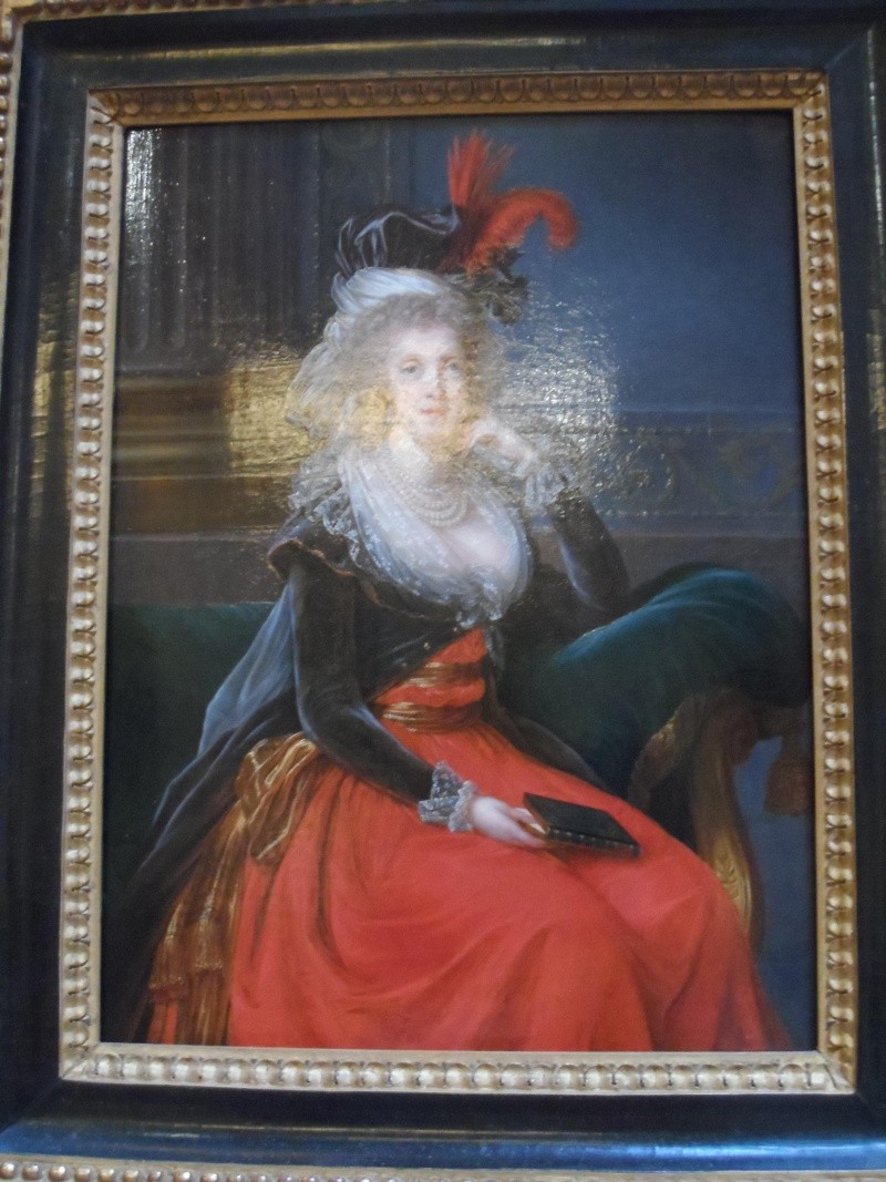 Le Boudoir Turc de la Reine Marie-Antoinette à Fontainebleau - Page 2 Sam_1041