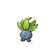 43. Oodish Oddish11