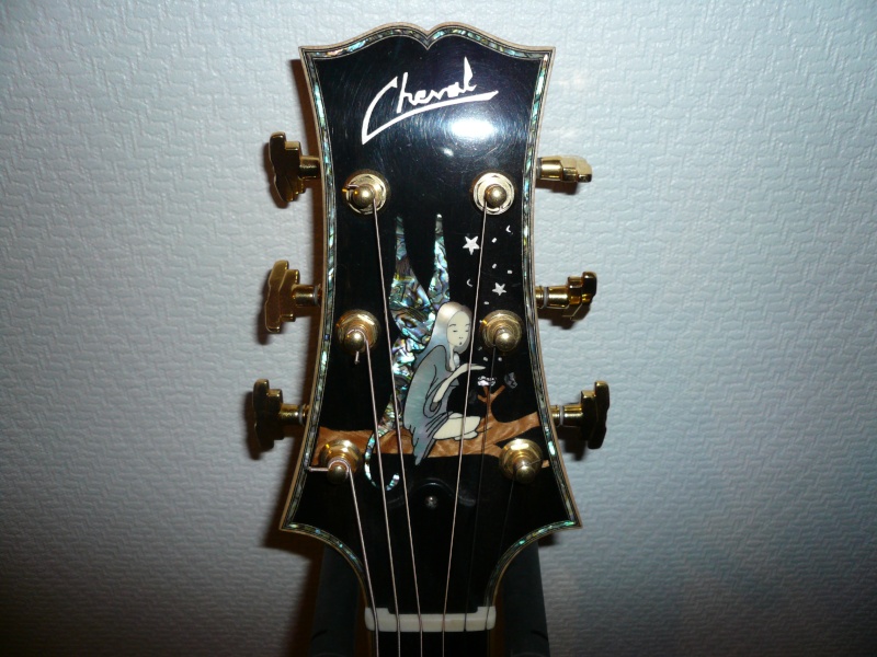Vends guitare cheval jumbo cabrel -vendue- P1010813