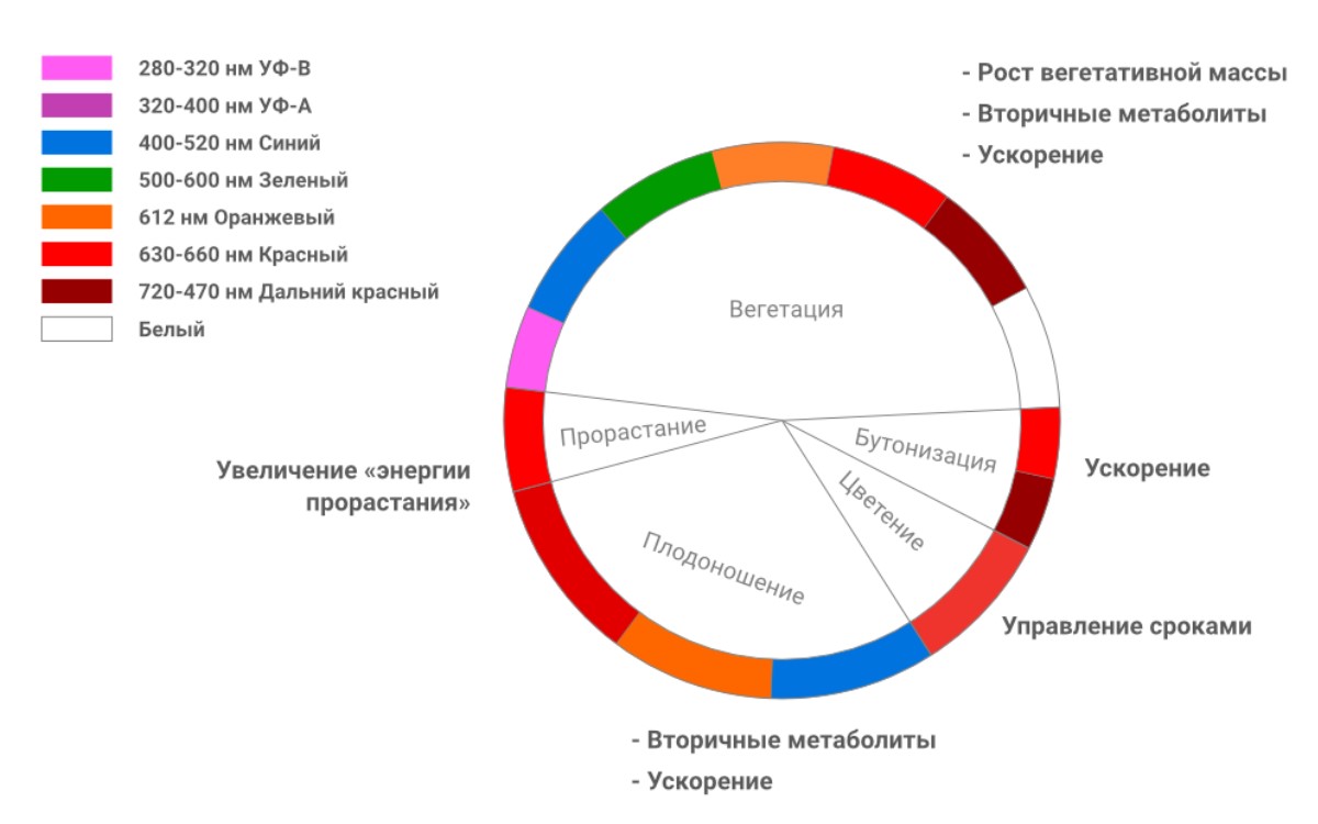 Свет для растений 1310