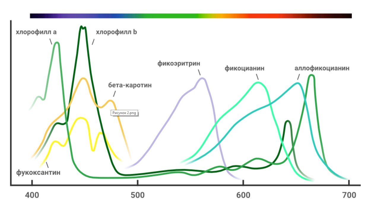 Свет для растений 9a10