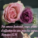 La Bible prête une attention particulière aux relations + une vidéo: Qu'il en soit ainsi ! Amour_22