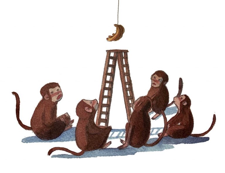 Donde se trata de monos y bananas. Ariwak10