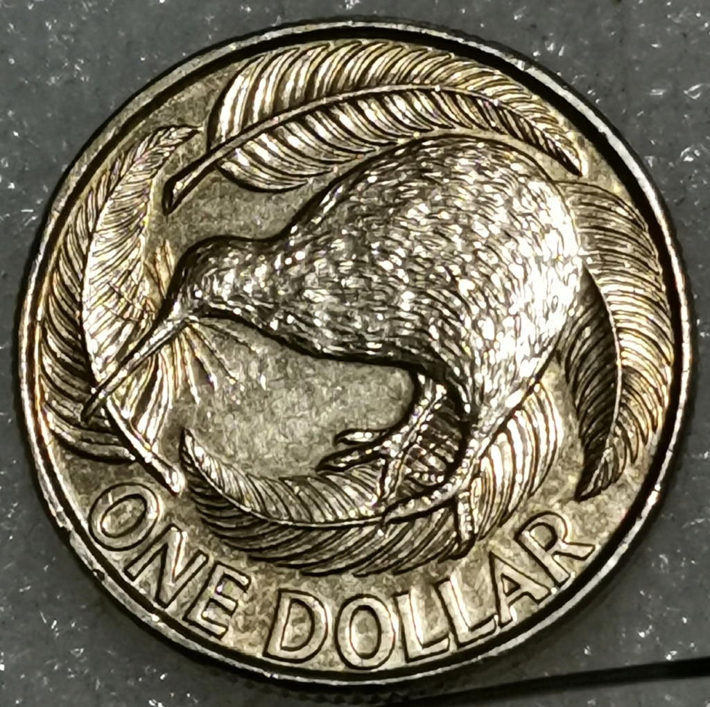 Nueva Zelanda. 1 dólar 2.013 V_210