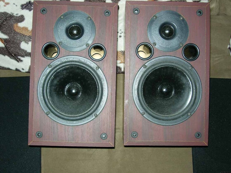 SYSTYM 125 speaker (Used) SOLD Systym10