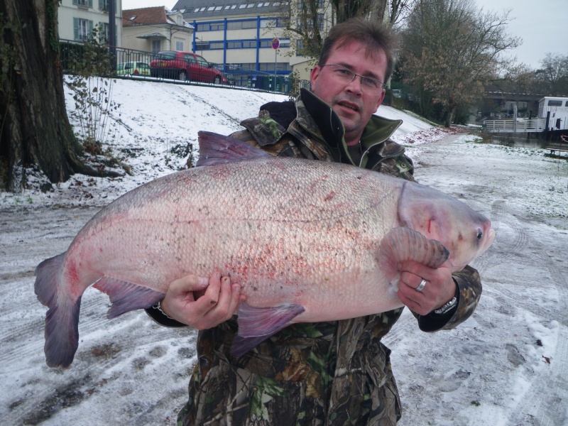 gors gros gros poissons surprise Imgp0412