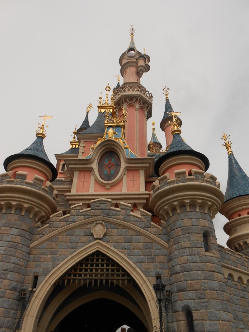 TR séjour inoubliable à Disneyland Paris - Sequoia Lodge (Golden Forest Club) - du 11/06/13 au 14/06/13 [Episode 11 - partie 3 postée le 14/12/13 - TR FINI !!] - Page 5 Dscn1510