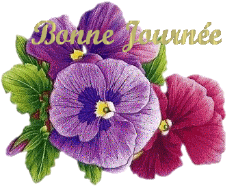 BONJOUR -BONSOIR ---Jasette du MOIS DE  JUILLET  - Page 3 Rqj4li11