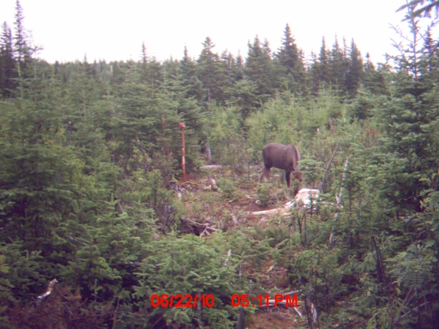 2e visite à ma salline (22 juillet) Mdgc0014