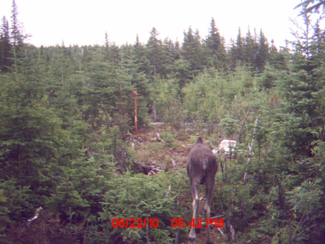 2e visite à ma salline (22 juillet) Mdgc0015