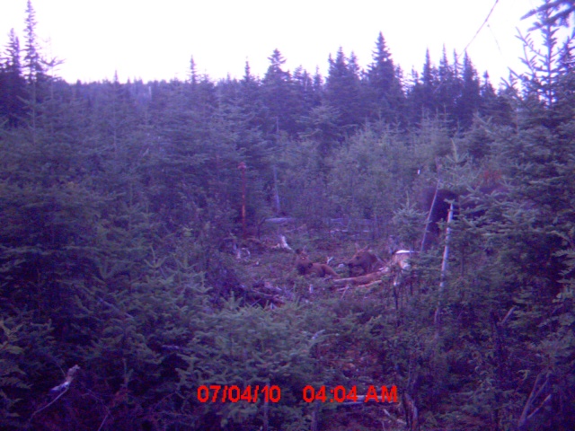 2e visite à ma salline (22 juillet) Mdgc0210