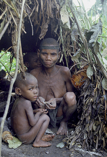 Histoire des hommes perdus : pygmées et andamanais 24627410