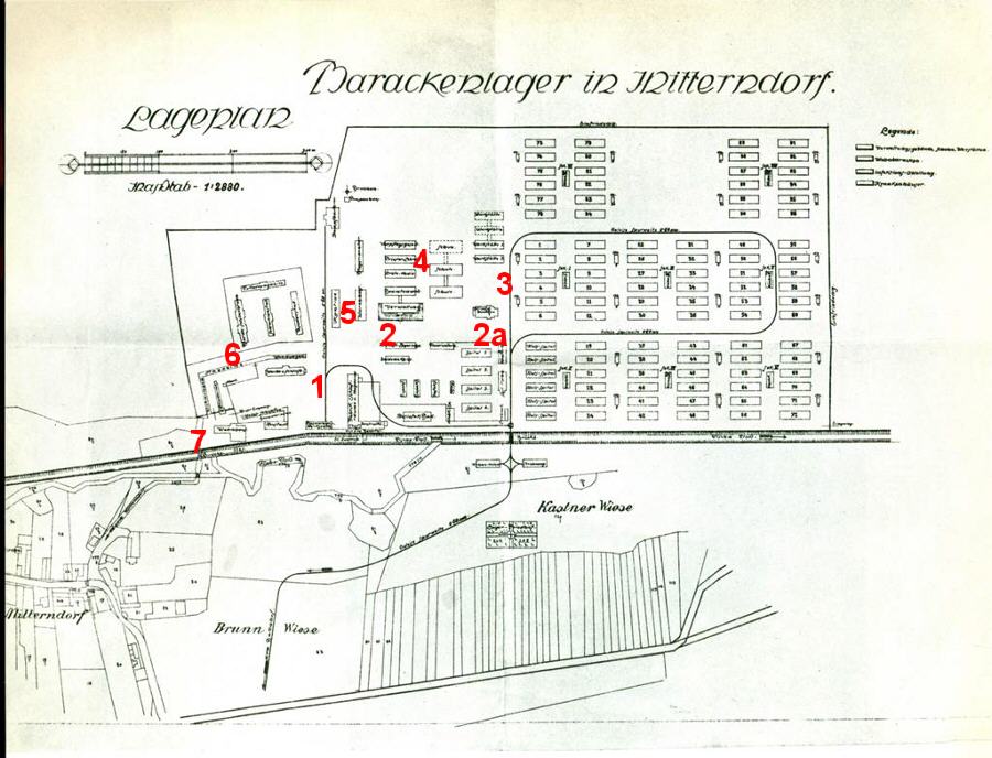 Les camps de déplacés du Trentin 1915-1919 Mitter10