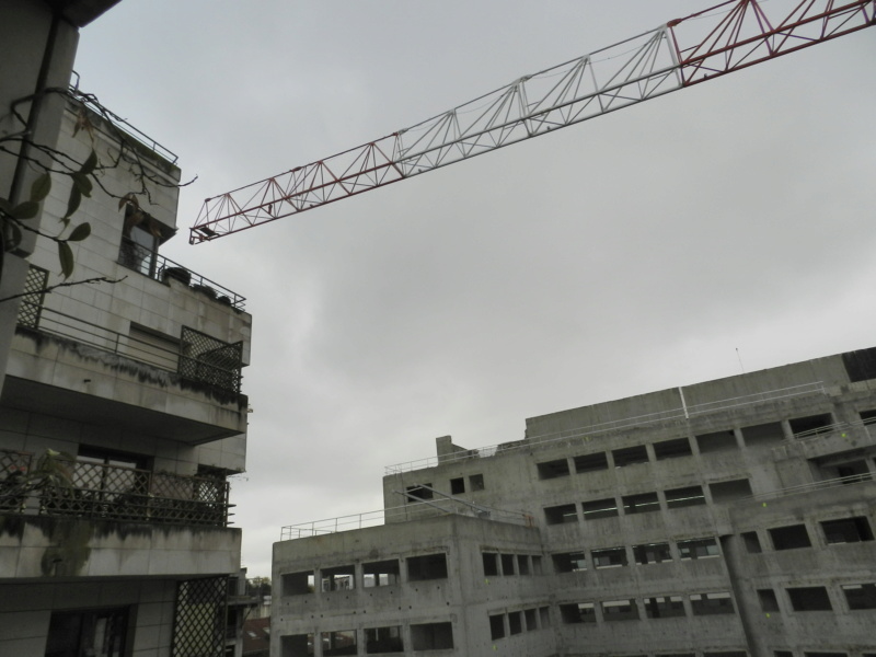 Montage d'une grue Paris_53