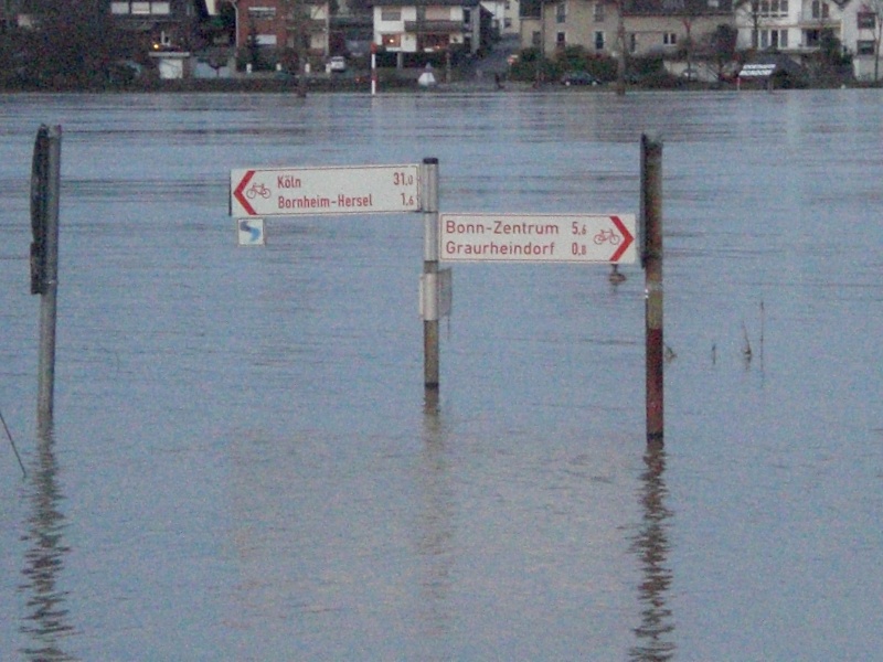 Hochwasser am Rhein einige Bilder  Cimg1614