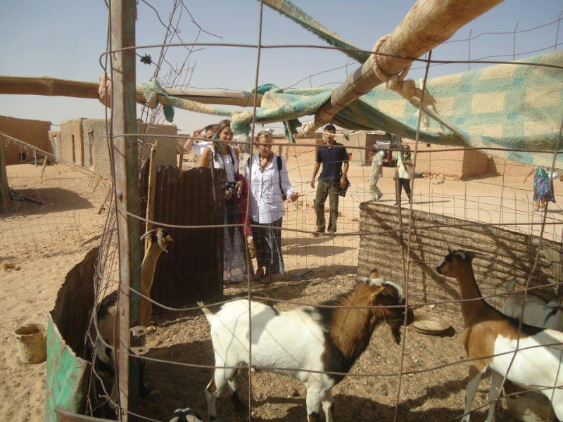 Kerry Kennedy visite les sahraouis - Page 2 42165710