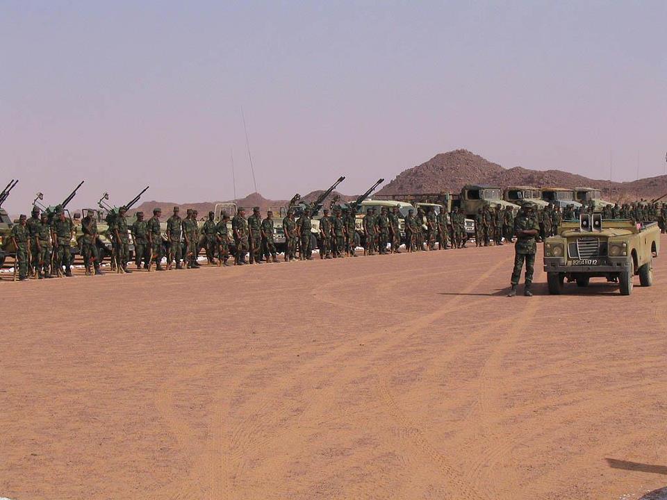 Armée de Libération Sahraouie [APLS] 55573011