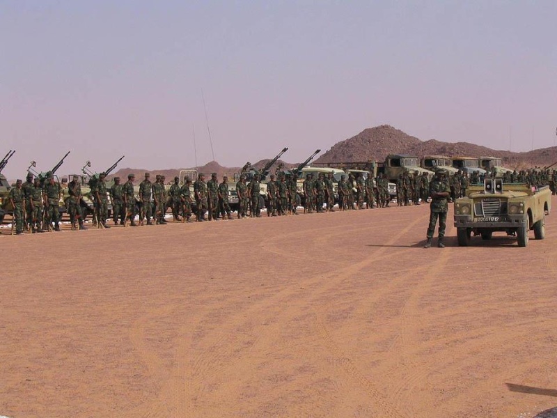 Armée de Libération Sahraouie [APLS] 55573012