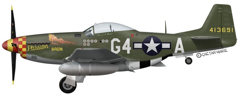 P-51 D Mustang (1/32) ... remise en état ! Paswag10