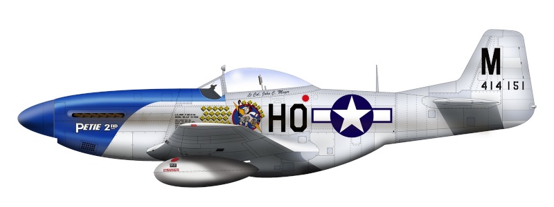 P-51 D Mustang (1/32) ... remise en état ! Petie10