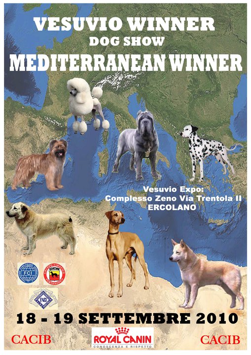 18-19 Settembre 2010 Vesuvio Winner Mediterranean Winner 31390_10