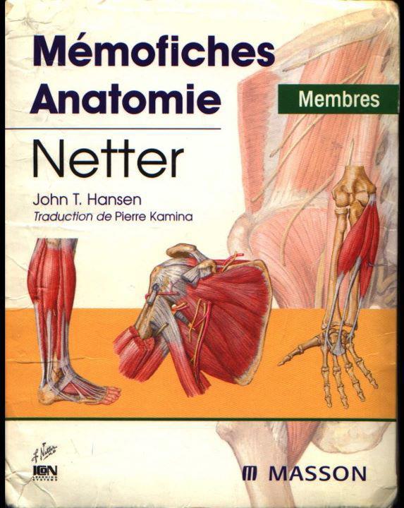 Mémofiches  anatomie  LE NETTER Neter_10