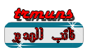 نائب المدير العام نائب المدير العام