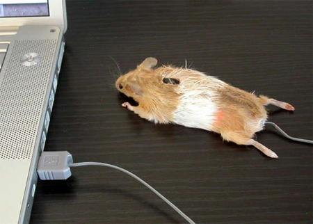 Unique Computer Mouse Mouse10
