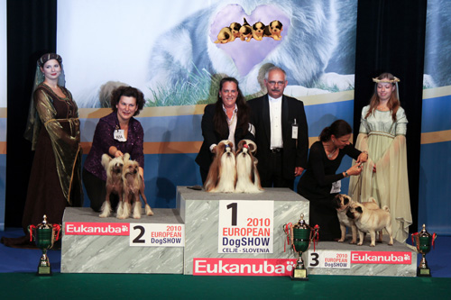 AVAILABLE PUPPIES of BIS BRACE WINNERS at European Dog Show 2010 in Celje Bisecu12