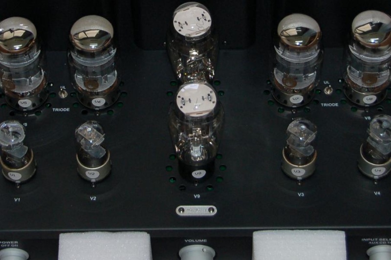 Bewitch KT88 60w / 30w tube amplifier (used) SOLD Dsc_1012