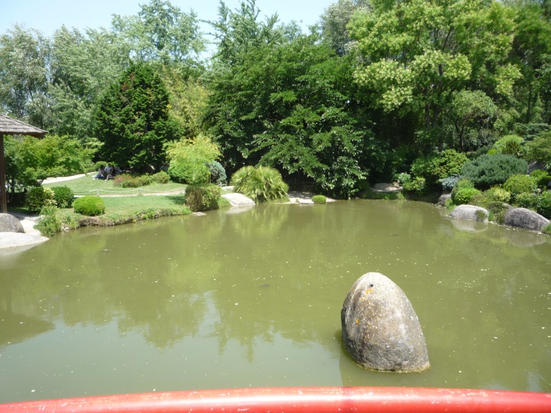 trachemys du jardin japonais de toulouse P1010519