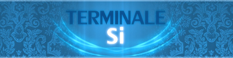 Terminale SI EPID