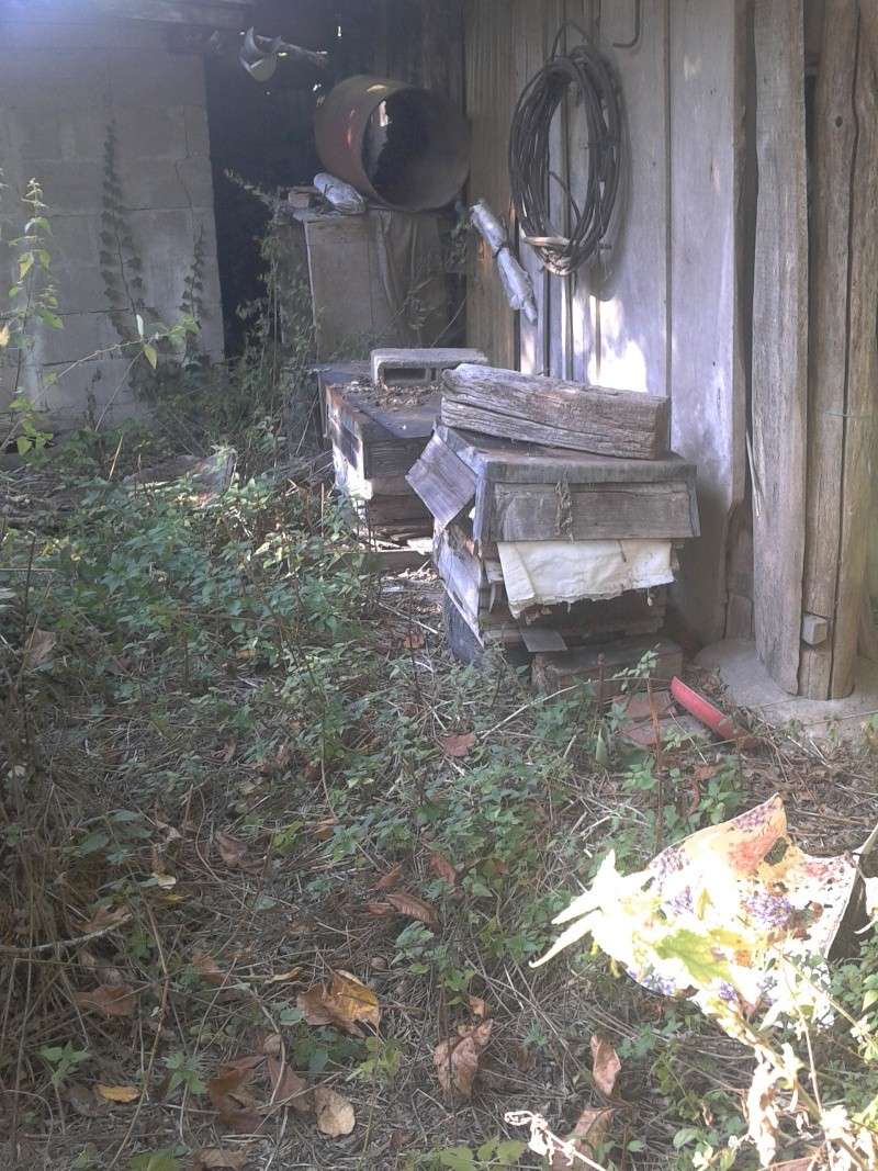 visite d'un rucher qui n'a pas été vu depuis près de 5 ans... - Page 2 2012-016
