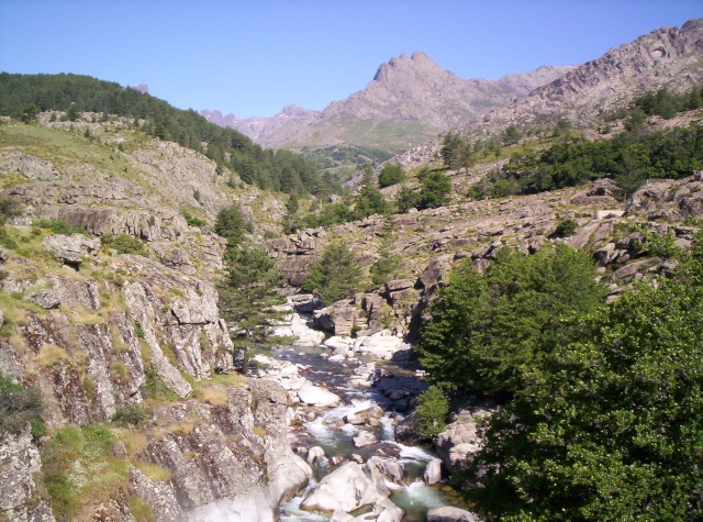 Mon carnet de voyage en Corse. 101_0611