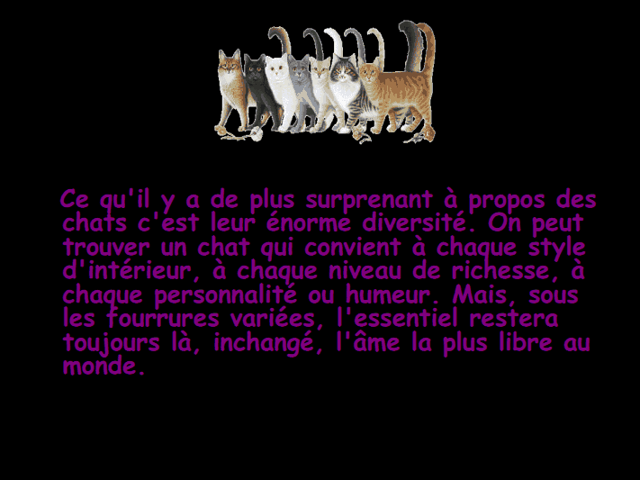 Les chats!!!!         (Ninnenne) Viewer31