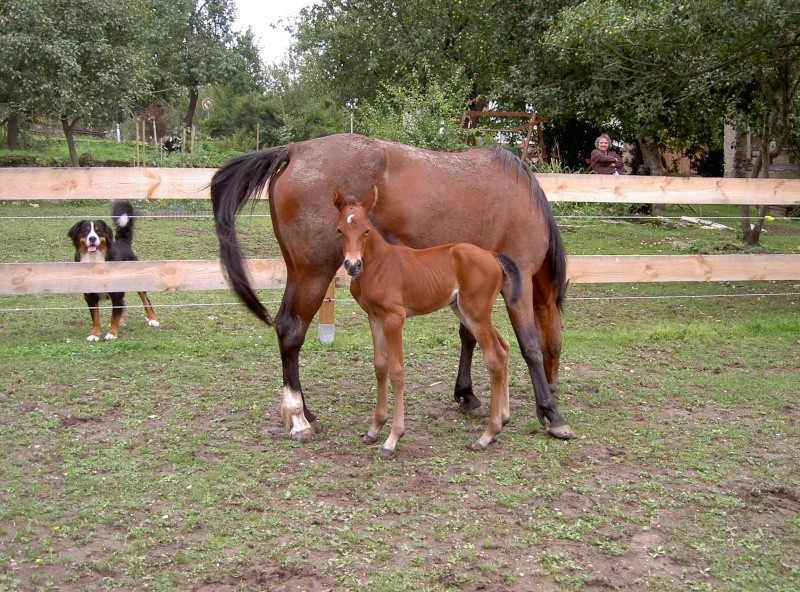 Concours photos spécial bébé...... Photo_11